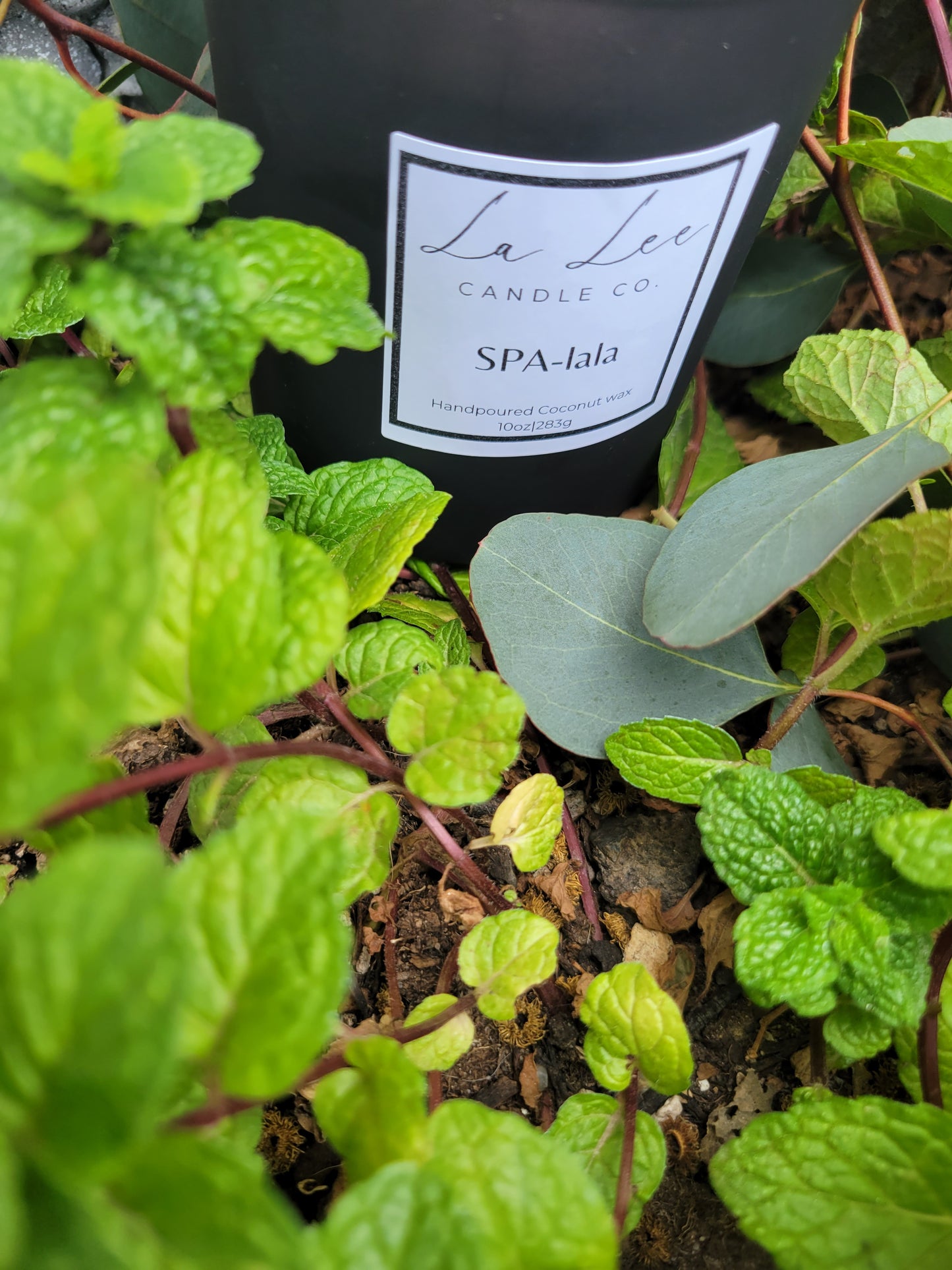 SPA-lala10 Oz Candle