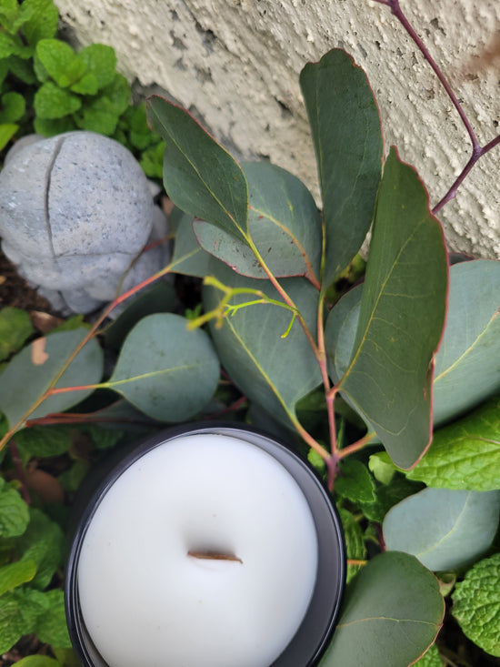 Add a spa like experience to any space. Relax- unwind- & pamper yourself with the  spa experience of spearmint + eucalyptus... This scent will leave you feeling spa- lala- 